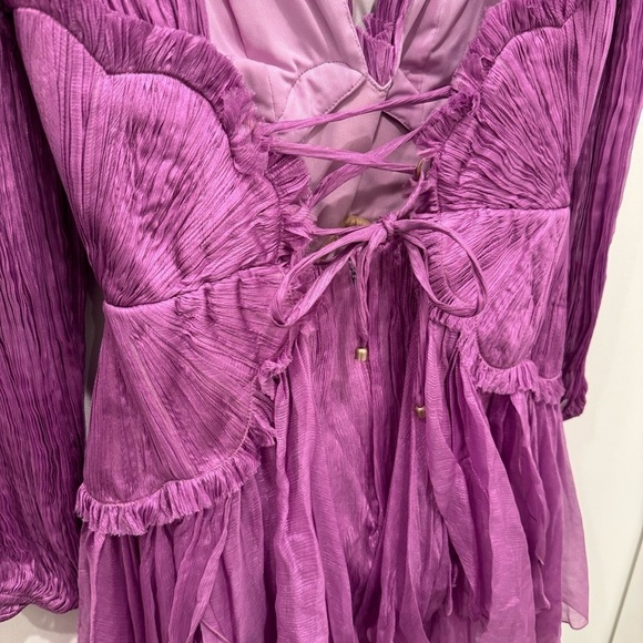 NWT Maria Lucia Hohan Alara Ruffled Minidress - Picture 13 of 16